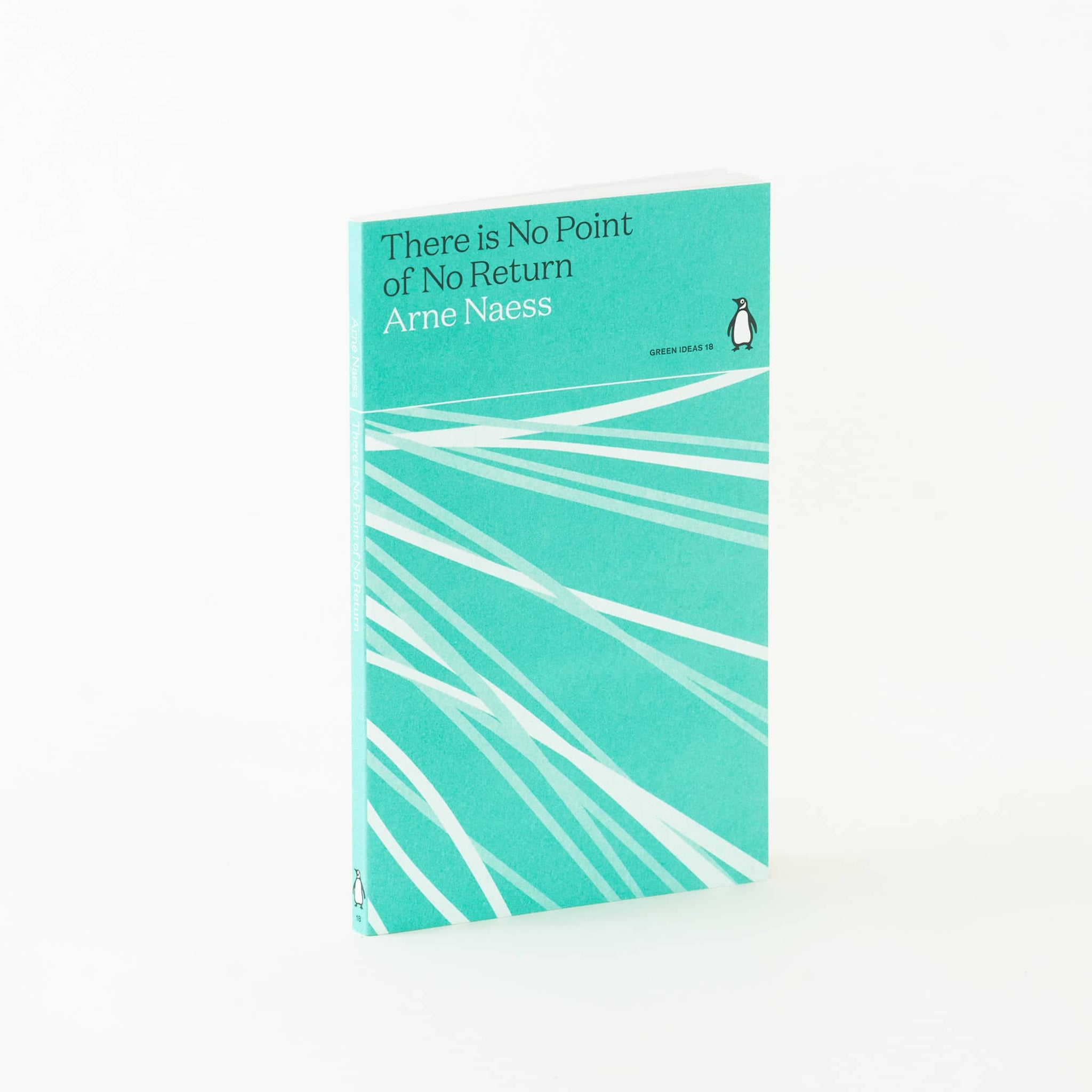 There is No Point of No Return by Arne Næss