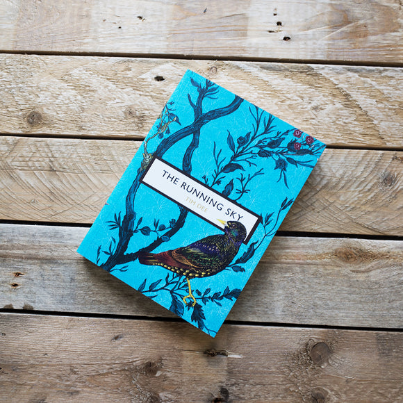 The Running Sky: A Bird-Watching Life by Tim Dee