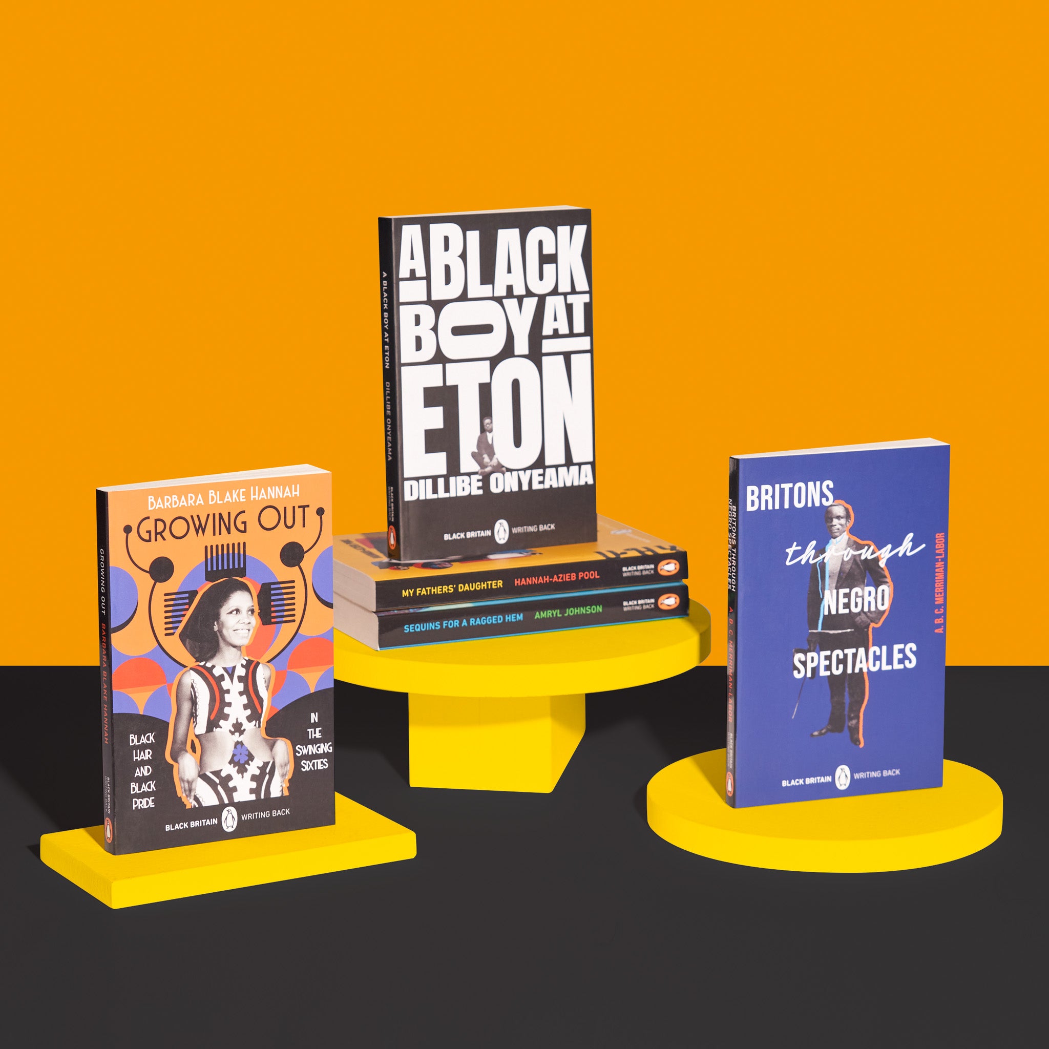 Black Britain: Writing Back 2, Curated by Bernardine Evaristo
