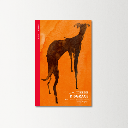 Disgrace by J. M. Coetzee