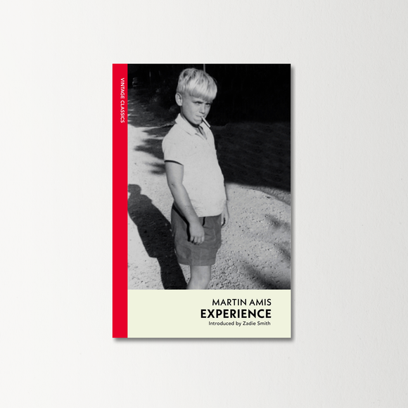 Experience by Martin Amis