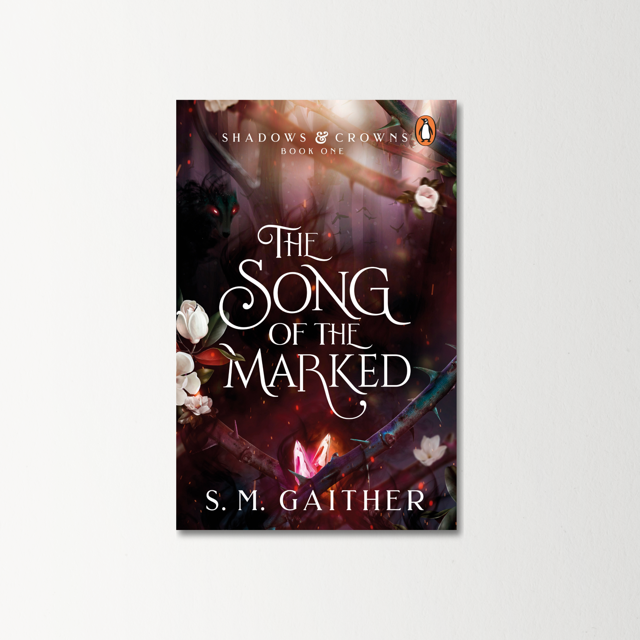The Song of the Marked by S. M. Gaither