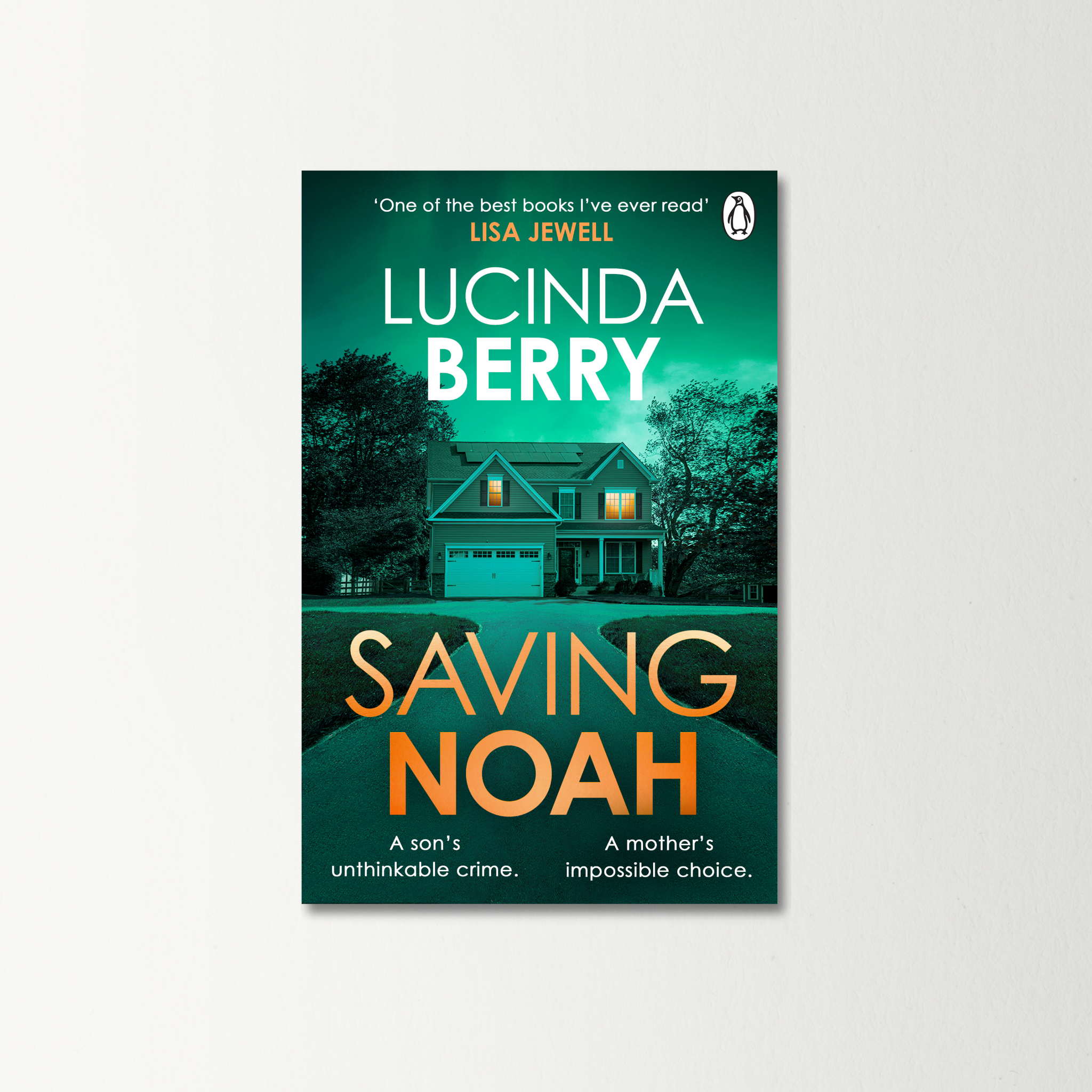 Saving Noah by Lucinda Berry