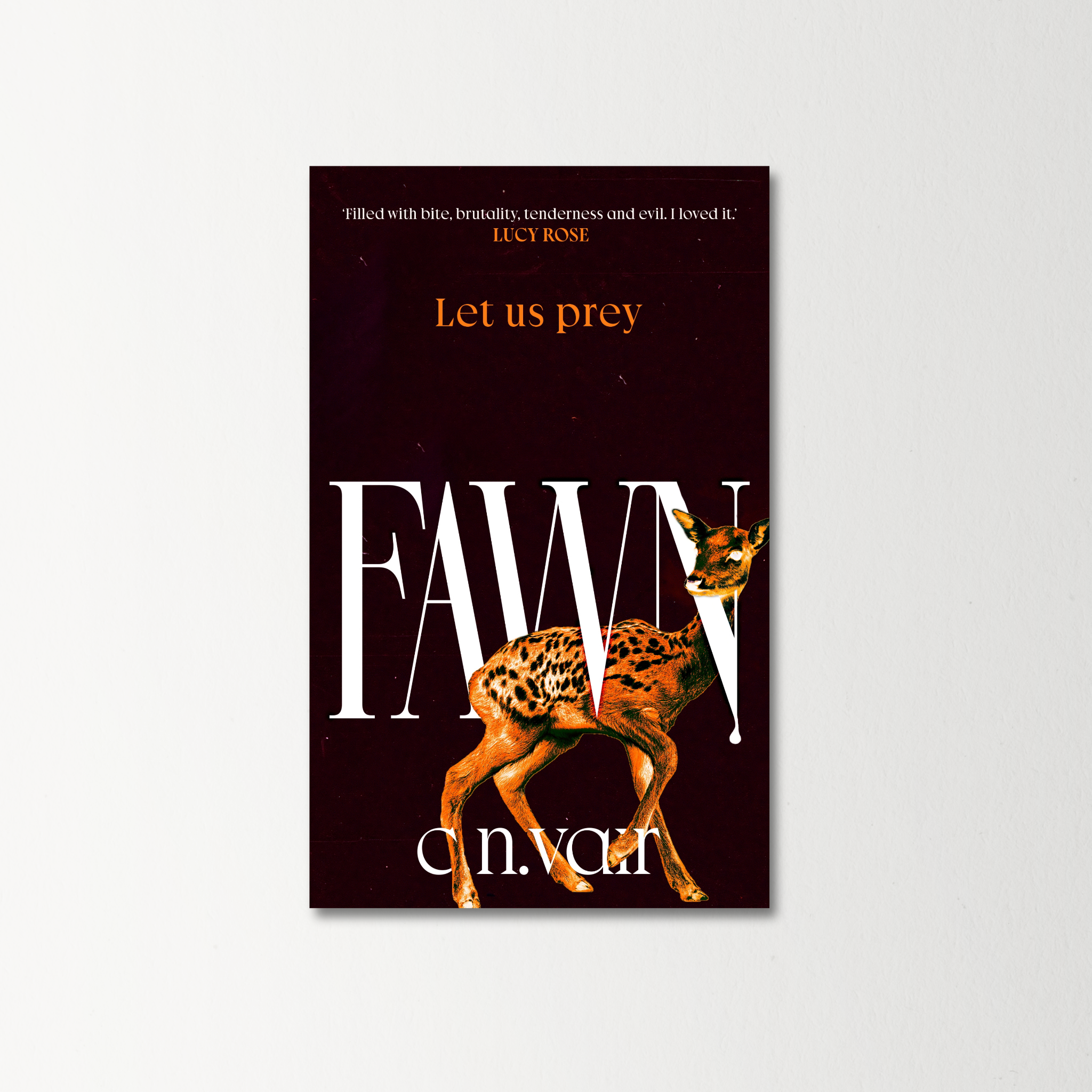 Fawn by C.N. Vair