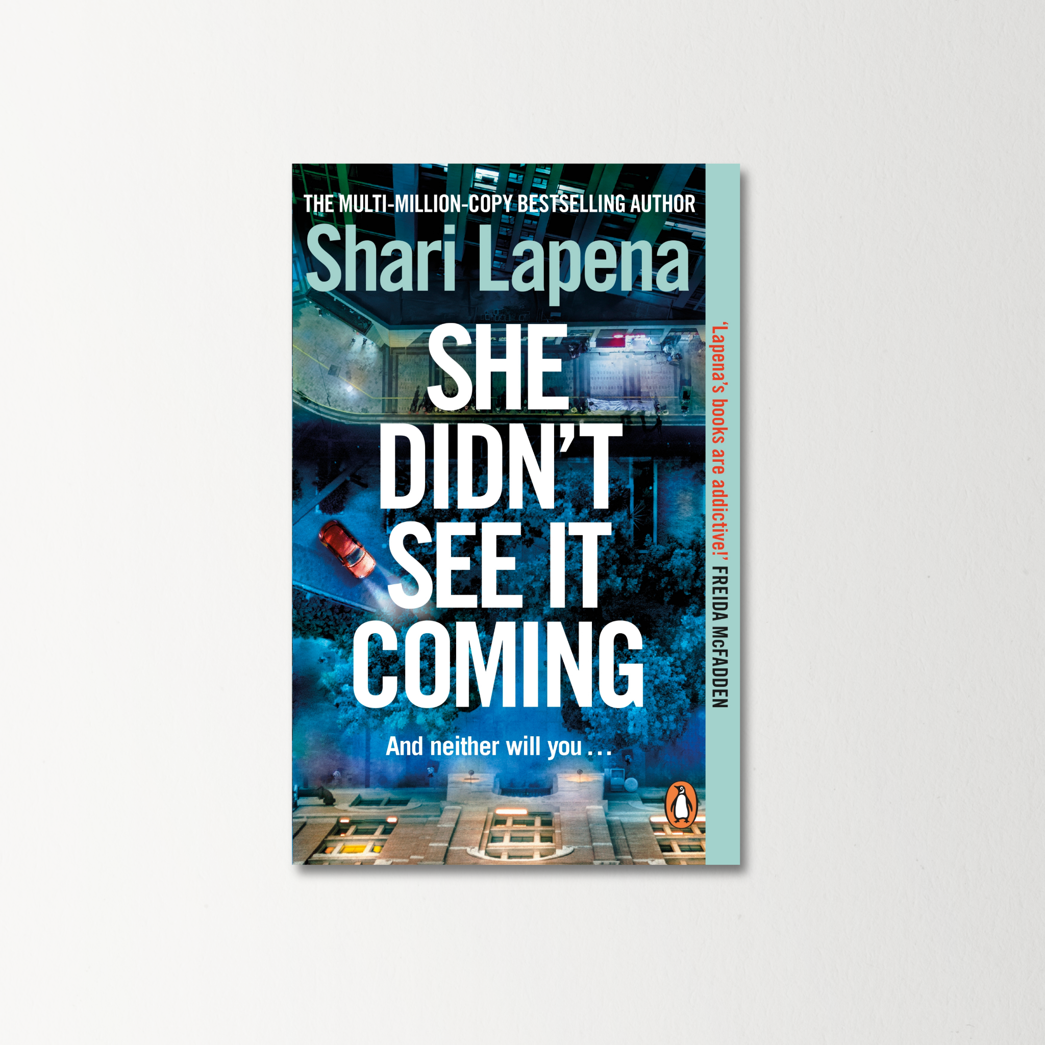 She Didn't See It Coming by Shari Lapena