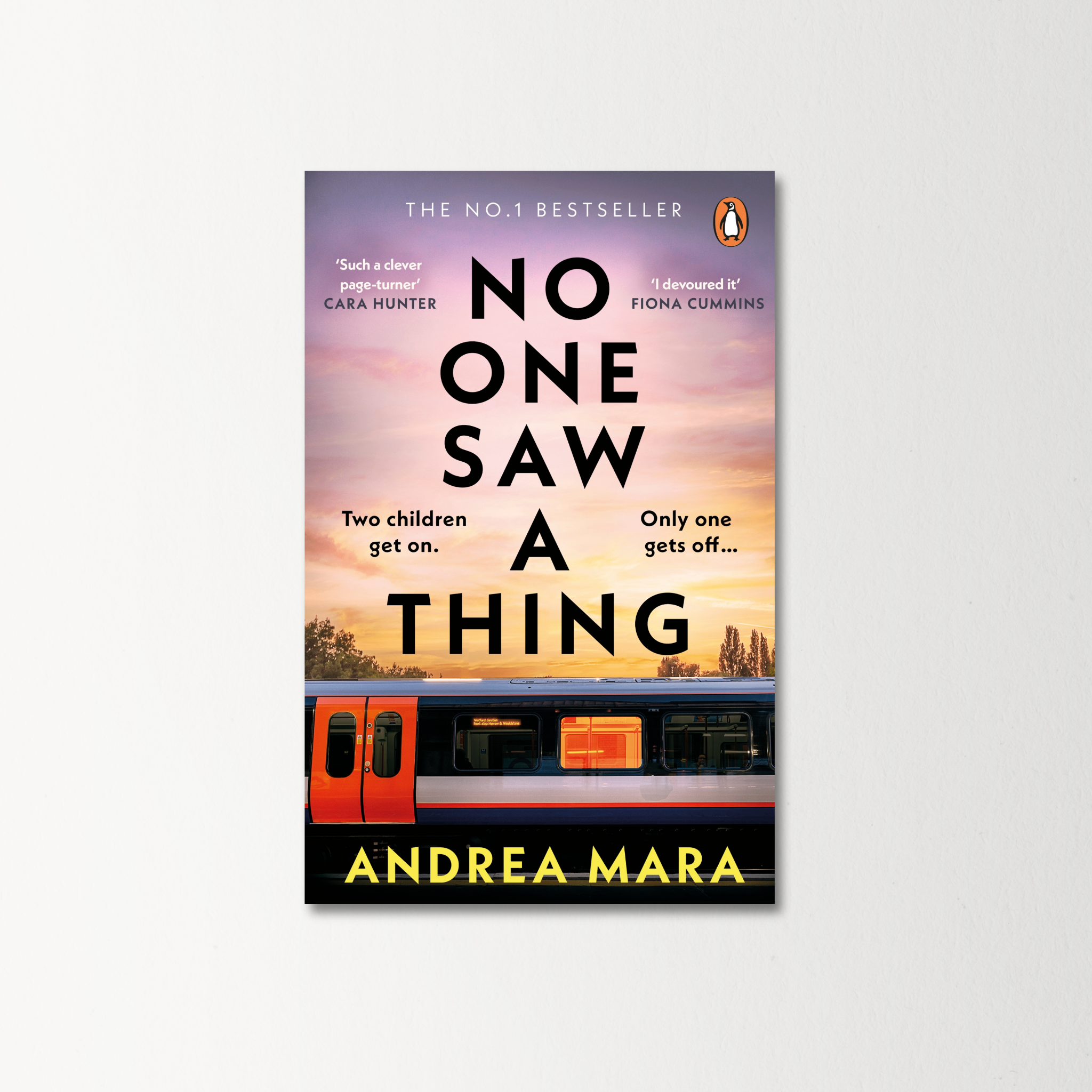 No One Saw a Thing by Andrea Mara