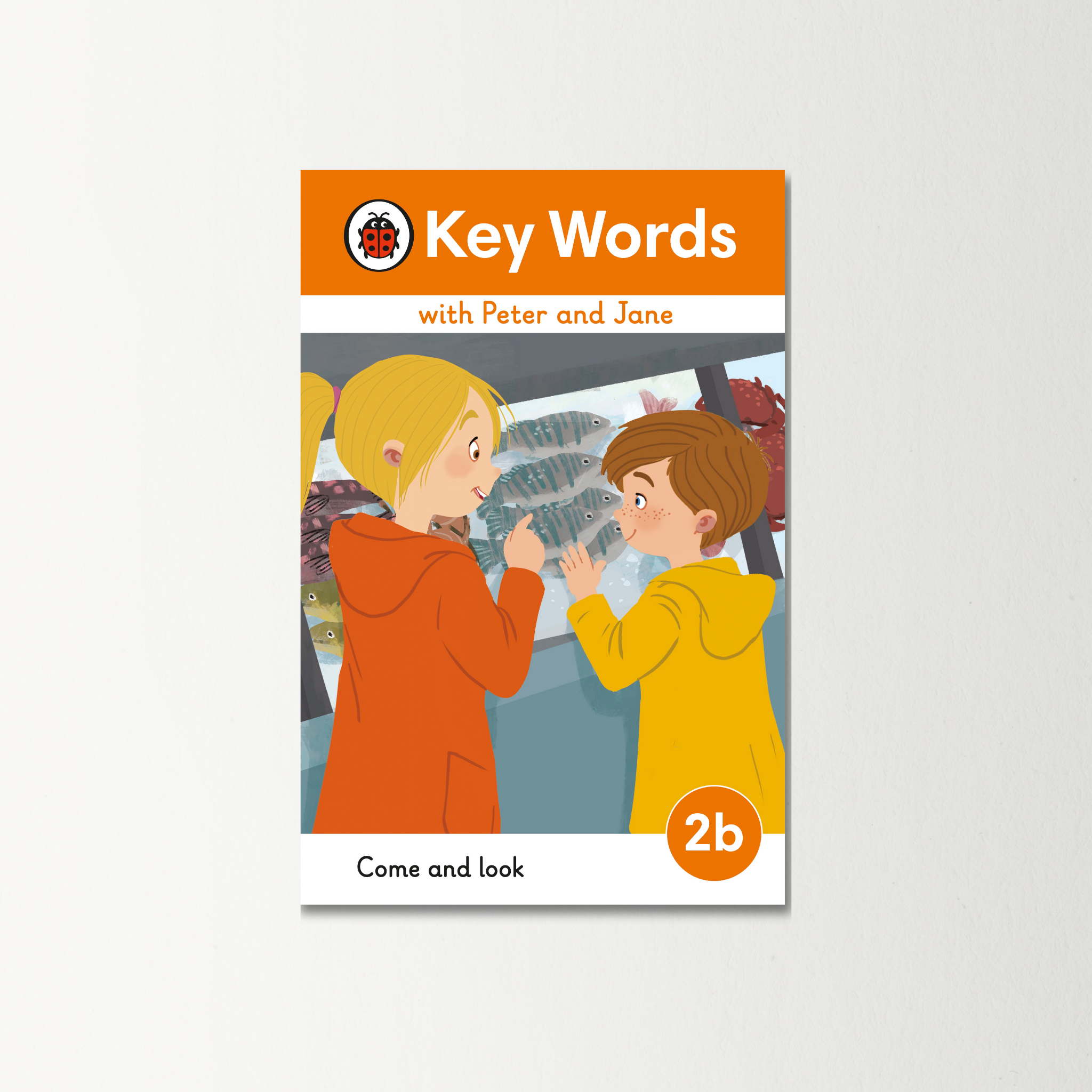 Key Words with Peter and Jane Level 2b - Come and Look