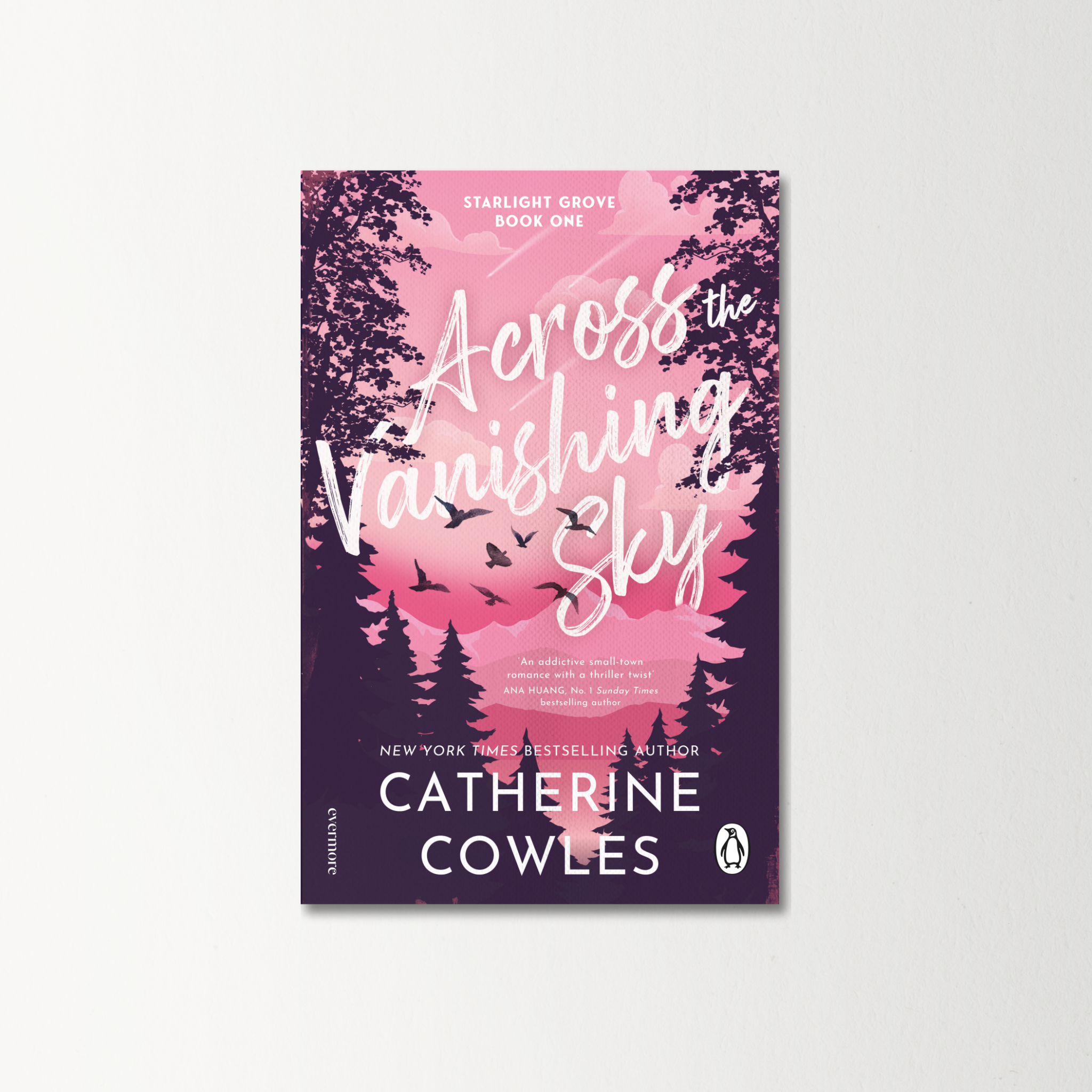 Across the Vanishing Sky by Catherine Cowles