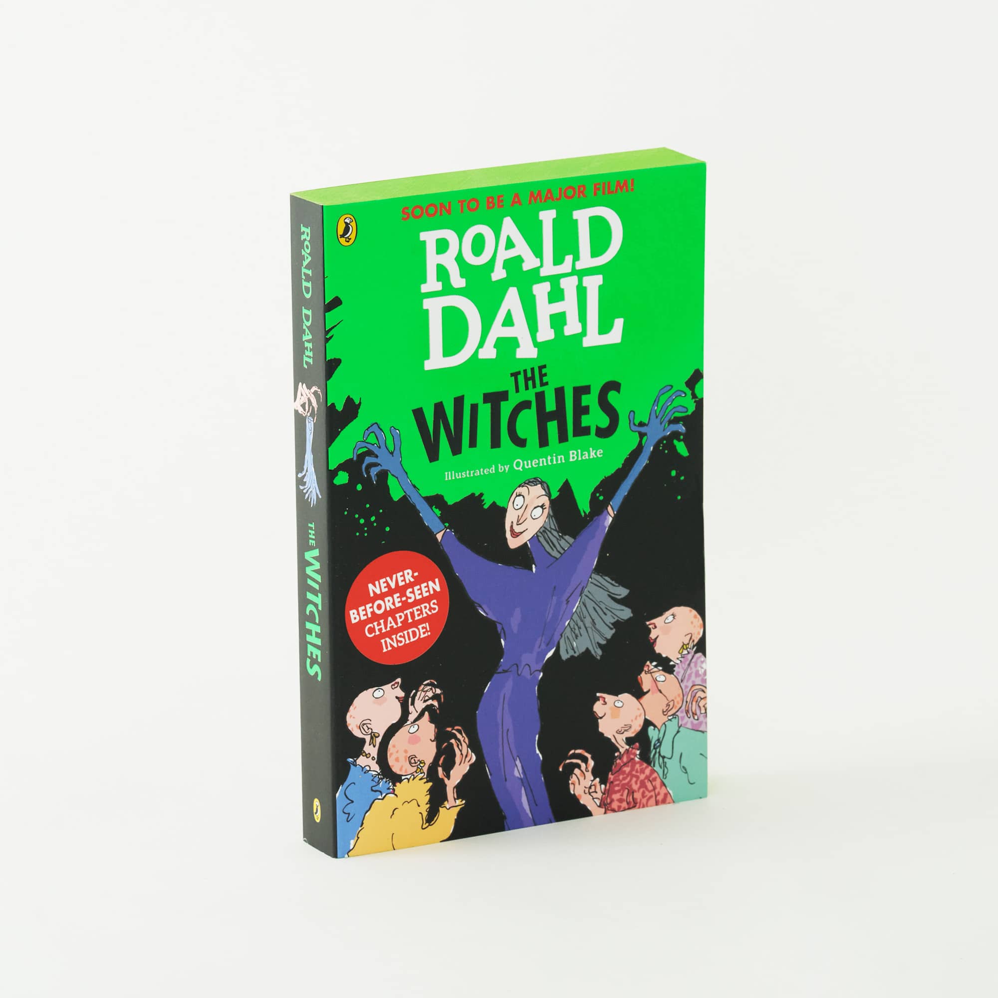 The Witches by Roald Dahl