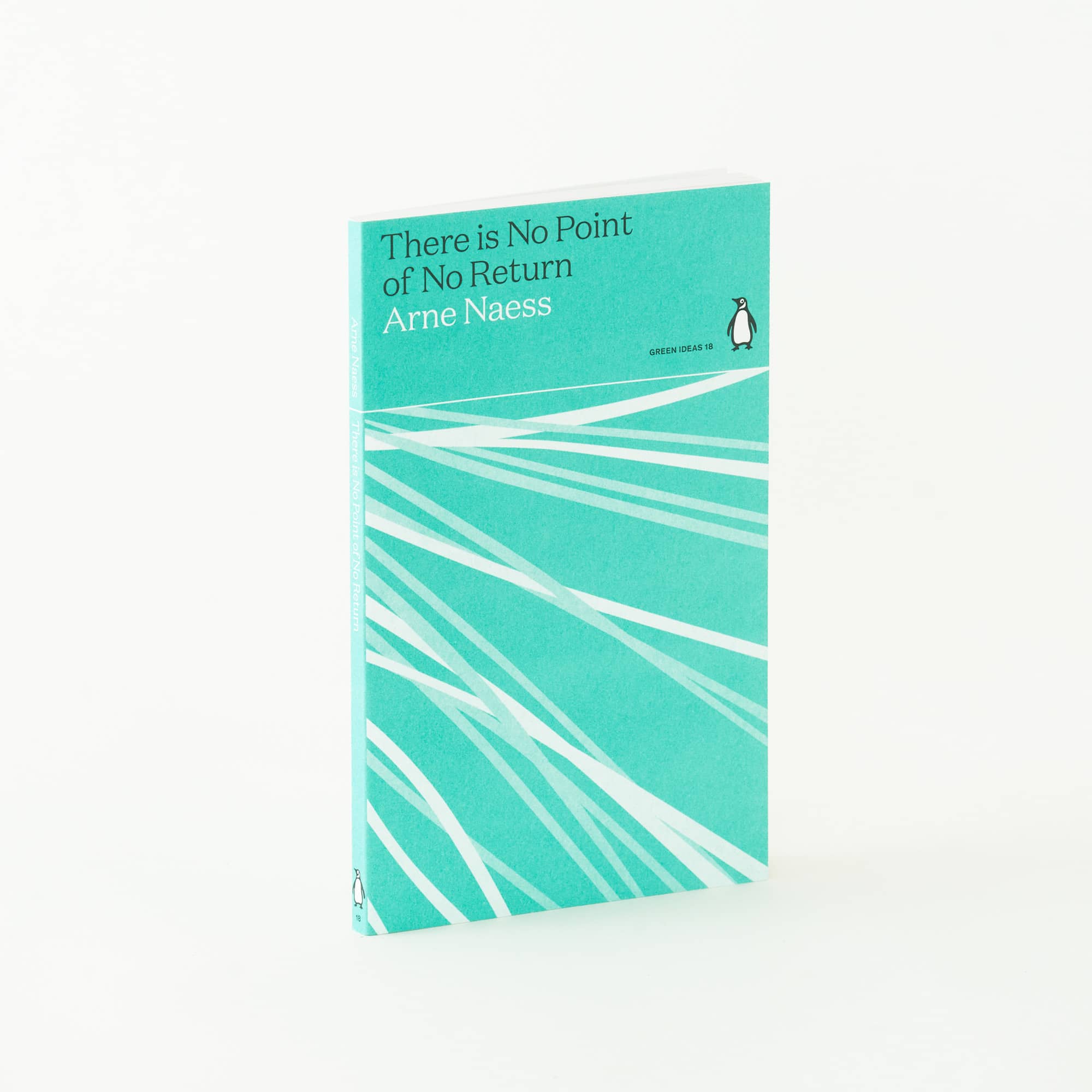 There is No Point of No Return by Arne Næss