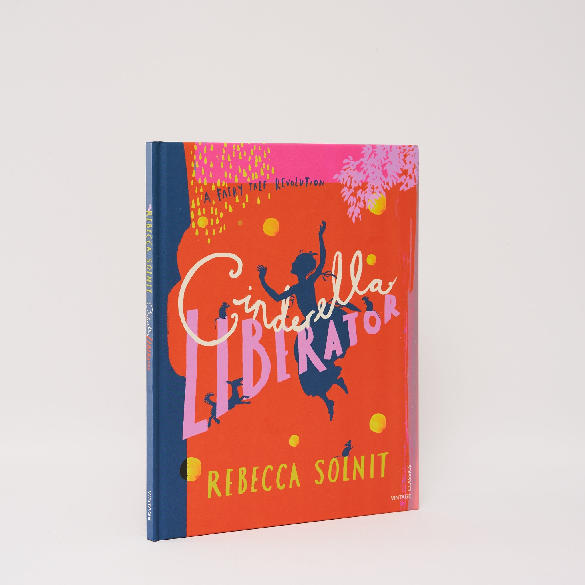Cinderella Liberator by Rebecca Solnit