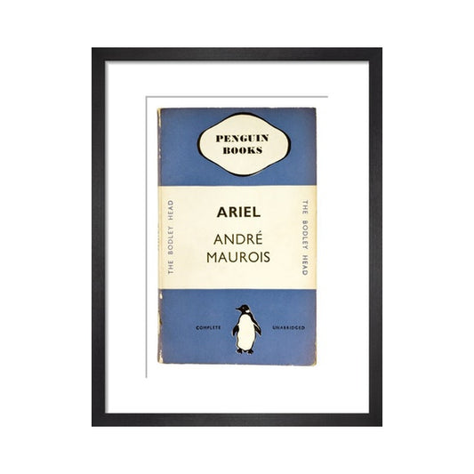 Ariel