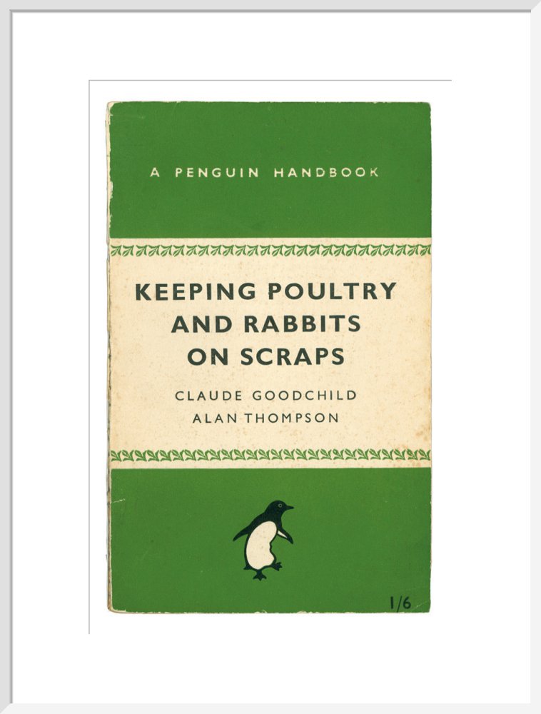 Keeping Poultry and Rabbits on Scraps
