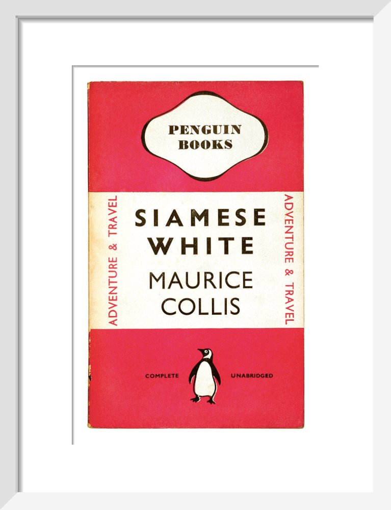 Siamese White