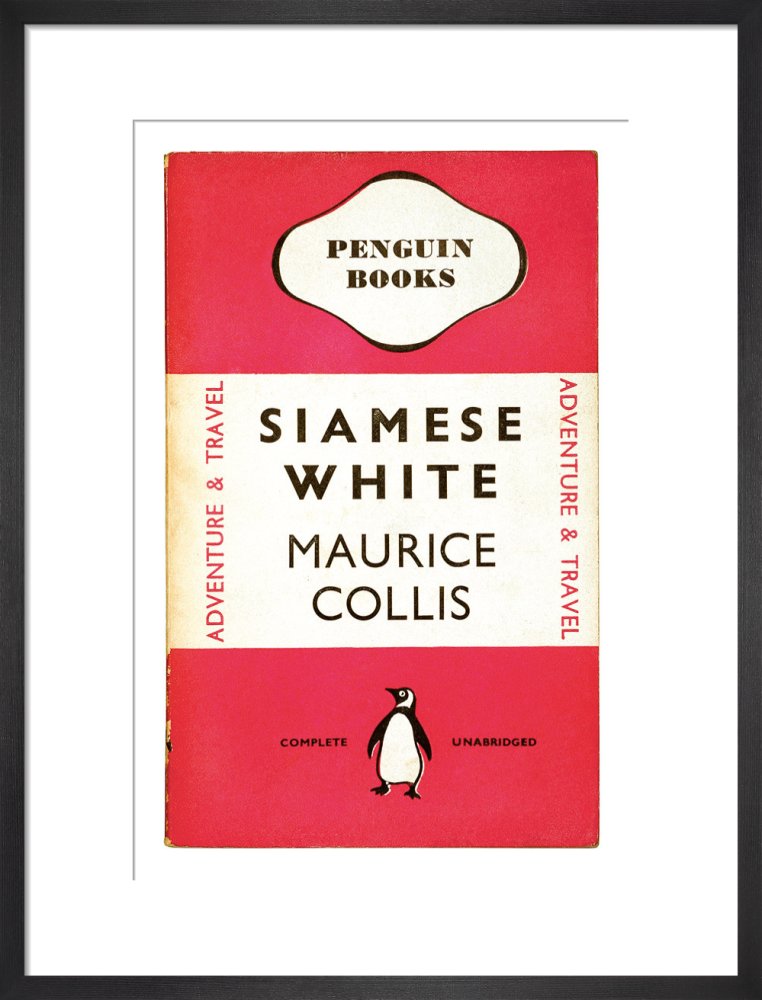 Siamese White