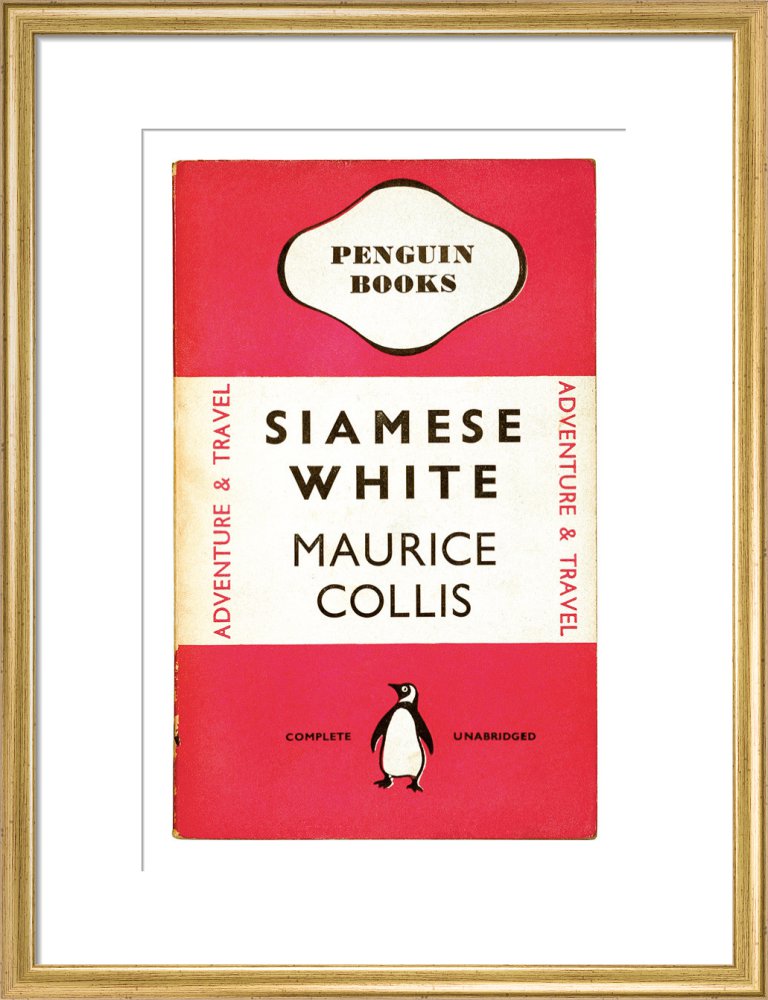 Siamese White