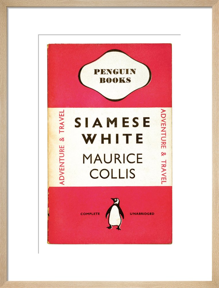 Siamese White
