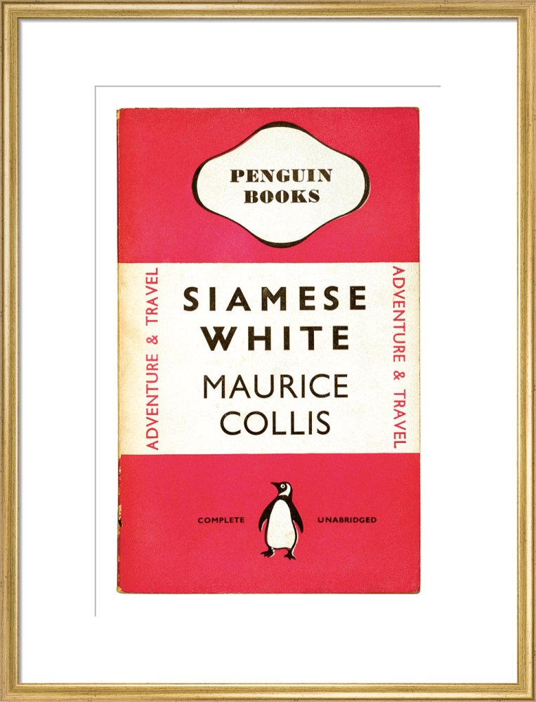 Siamese White