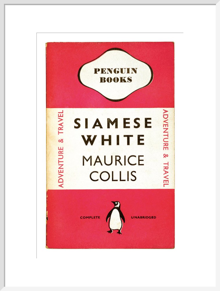 Siamese White