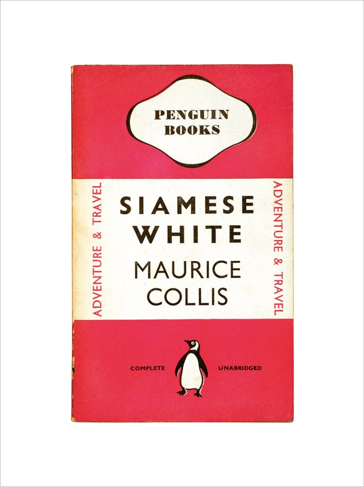 Siamese White