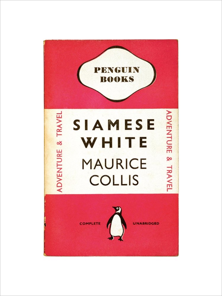 Siamese White